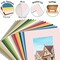 Golden State Art Picture Mat 8x10 for 5x7 Photos (Pack of 20), Assorted Colors